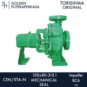 Pompa CEN / ETA-N 100x80-315.1 - MECHANICAL SEAL - OIL BC6